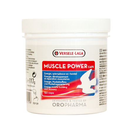 افزایش قدرت پرواز کبوتر با قرص ماسکل پاور
