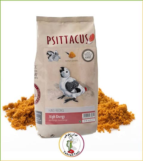 psittacus-high-energy-1