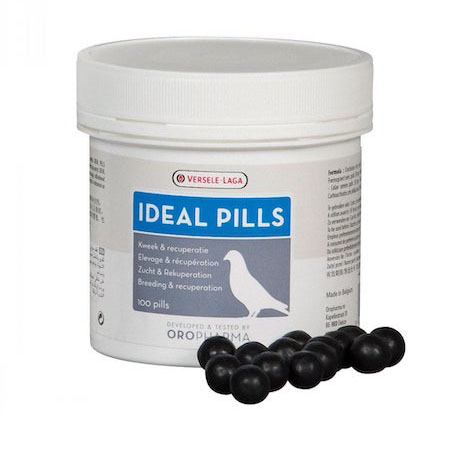 قرص انرژی ایده ال پلاس IDEAL Plus